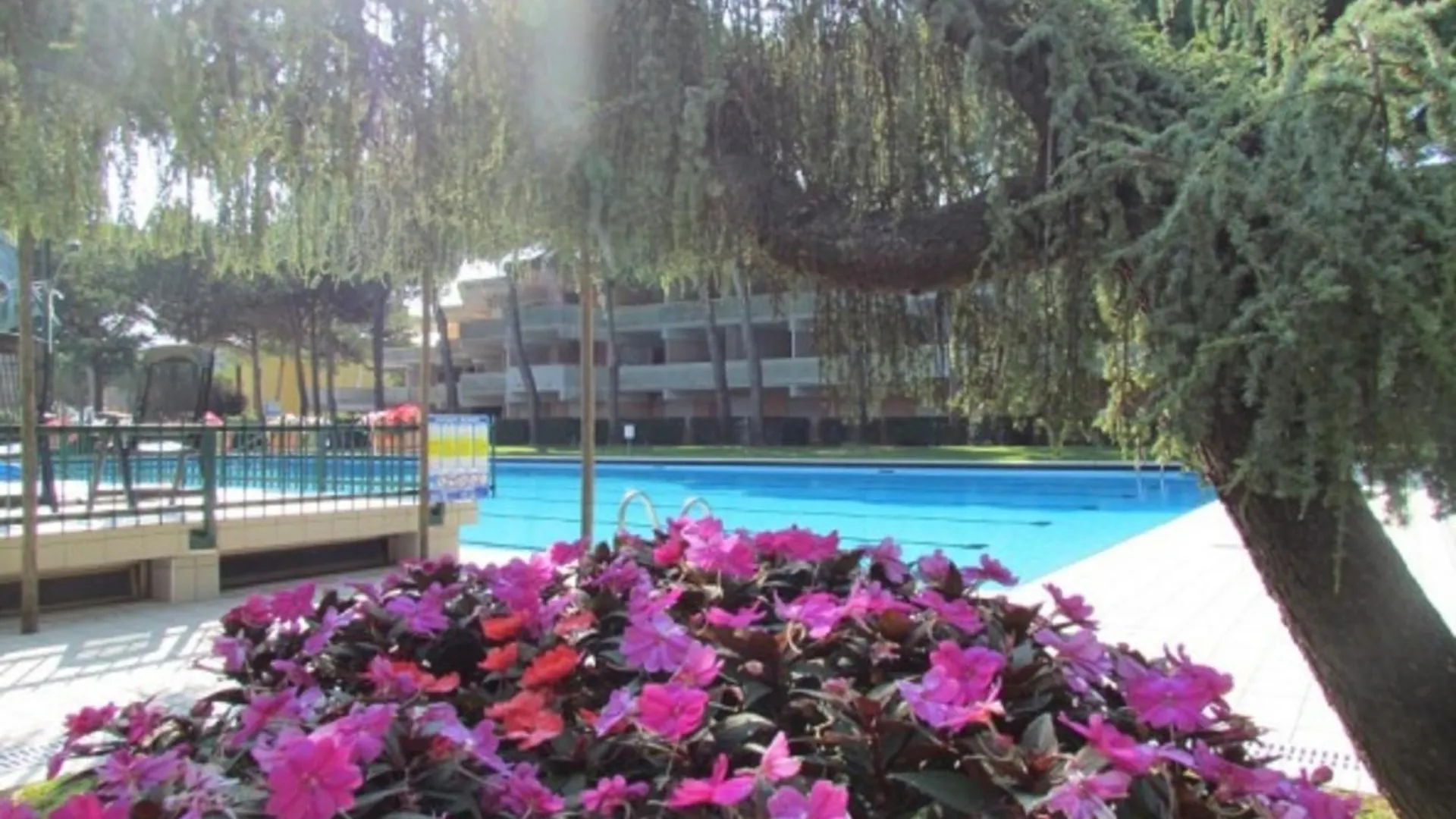Apartment Flat With Terrace Overlooking The Pool - Beahost Bibione Italy